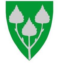 Birkenes kommune