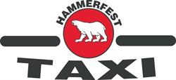 Hammerfest Taxihus AS