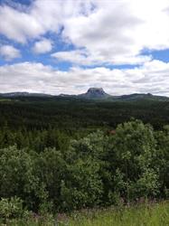 Hattfjelldal Regnskapskontor AS