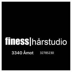 Finess Hårstudio Merethe Krokvik