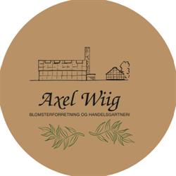 Wiig Axel Handelsgartneri