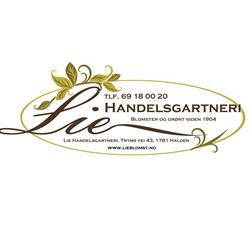 Lie Handelsgartneri