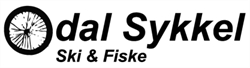 Odal Sykkel Raymond Lishaugen