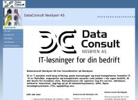 Data-Consult Nesbyen AS