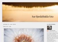 Ivar Bjørdalsbakke Foto - Bjørdalsbakke Ivar