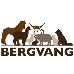 Bergvang AS