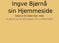 Bjørnå It Support