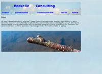Bockelie Consulting Lasse Bockelie