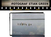 Fotograf Stian Green - Stian Green