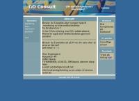 Go Consult Olav Martin Engelsgjerd