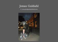 Guldahl Consulting