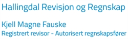 Hallingdal Revisjon OG Regnskap, K.m. Fauske