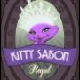 Kitty Saison (beer label design)
