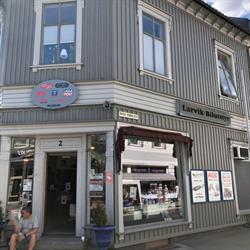 Larvik Bilutstyr As