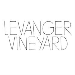 Levanger Vineyard Kristne Felleskap