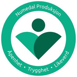 Numedal Produksjon AS