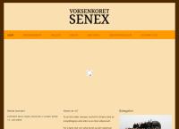 Senex Unge Voksne Kfuk-Kfum
