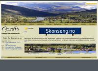 Skonseng Ungdomslag