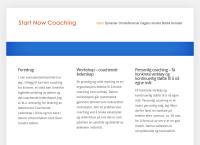 Start Now Ann Elin S Schussel