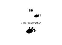 Svein Hovde Filmkonsult - Svein Hovde