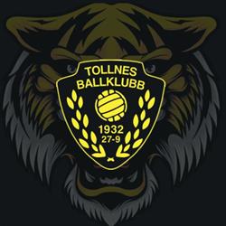 Tollnes Fotball