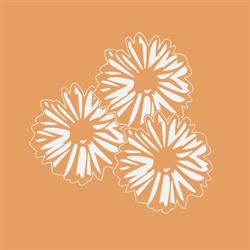 Toppe Blomster-Åsane Blomster-Toppe Gartneri