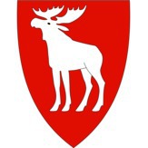 Ringsaker kommune