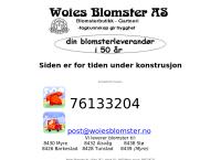 Woies Eiendom AS