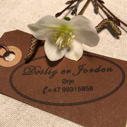Hilde Nyborg Braarud - Deilig er Jorden Blomsterbutikken i Fagerhaug Hilde Nyborg Braarud