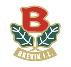Brevik Idrettslag