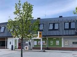 Joker Svinndal
