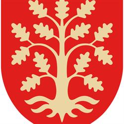 Tangen Videregående Skole