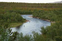 Stiftelsen Stabbursnes Naturhus og Museum