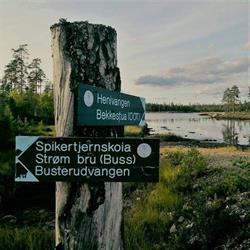 Allmenningsdrift Romerike Sa
