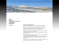 Borgen Prosjektservice AS