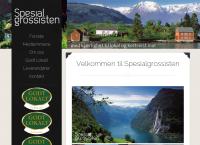 Spesialgrossisten AS