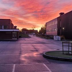 Rødtvet Skole