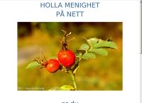 Holla Kfuk-Kfum Speidere
