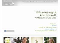 Bente Ellefsen