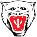 Vikersund Idrettsforening