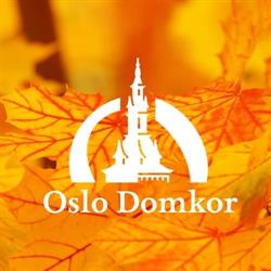 Stiftelsen Oslo Domkor