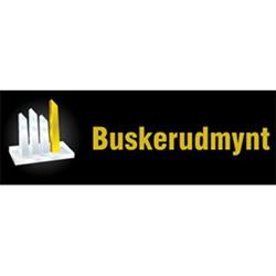 Buskerud mynt, gull og sølv