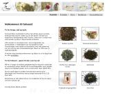 Nettsted av Tehuset ANS