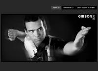 Gibson Fightlab