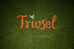 Trivsel AS