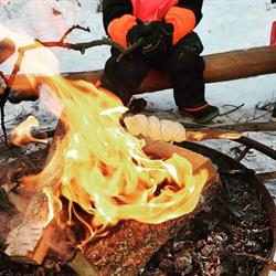Norlandia Årvollskogen barnehage