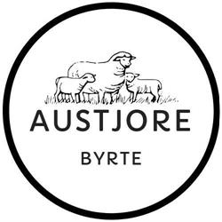 Jon Aslak Austjore
