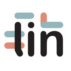Lin Likestilling Inkludering Og Nettverk