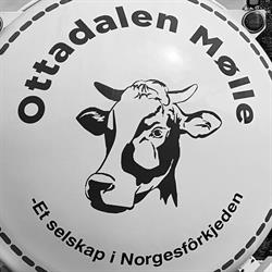 Ottadalen Mølle SA