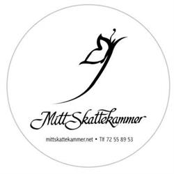 Mitt Skattekammer AS